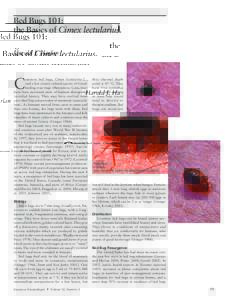 Bed Bugs 101: the Basics of Cimex lectularius. Harold J. Harlan C