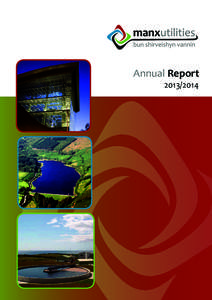 Annual Report[removed] 2  Contents