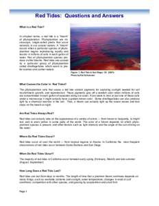 Red Tides: Questions and Answers What is a Red Tide? In simplest terms, a red tide is a “bloom” of phytoplankton. Phytoplankton are microscopic, single-celled plants that occur naturally in our coastal waters. A “b