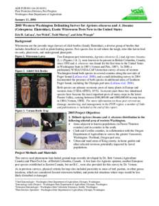 AGR PUB[removed]N[removed]Plant Protection Division, Pest Program Washington State Department of Agriculture January 11, 2006