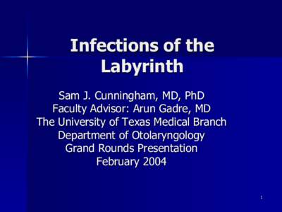 Infections of the Labyrinth