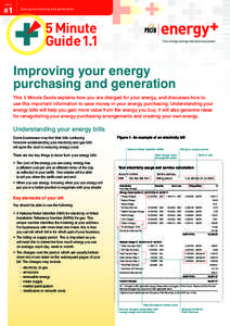 TOPIC  #1 Energy purchasing and generation