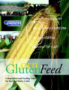 MF2488 Corn Gluten Feed: Composition and Feeding Value for Beef and Dairy Cattle