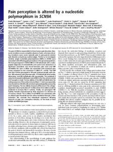 Pain perception is altered by a nucleotide polymorphism in SCN9A Frank Reimanna,1, James J. Coxb,1, Inna Belferc,1, Luda Diatchenkod,1, Dmitri V. Zaykine,1, Duncan P. McHalef,1, Joost P. H. Drenthg,1, Feng Daic,h, Jerry 