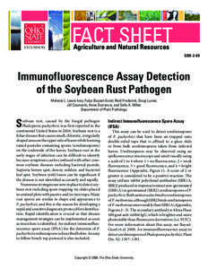 Immunofluorescence Assay Detection of the Soybean Rust Pathogen