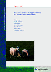 Rapport 4 · 2007  Evaluering av overvåkingsprogrammet for Brucella melitensis hos sau Petter Hopp Gry M. Grøneng