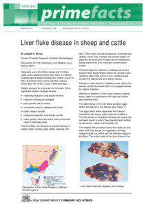 Biology / Digenea / Helminthiases / Parasites / Fasciolosis / Fasciola hepatica / Liver fluke / Triclabendazole / Pseudosuccinea columella / Medicine / Parasitology / Animal diseases