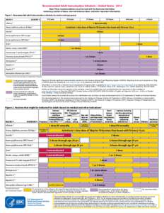 2014 Adult Immunization Schedule - United States