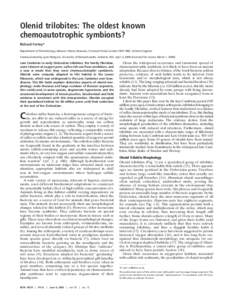 Protostome / Cephalon / Hypostome / Triarthrus / Ordovician / Agnostida / Agnostus / Richard Fortey / Olenus / Trilobites / Taxonomy / Phyla