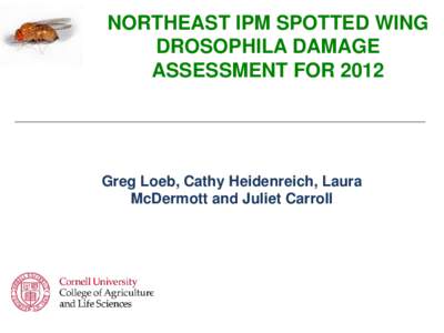 NORTHEAST IPM SPOTTED WING DROSOPHILA DAMAGE ASSESSMENT FOR 2012 Greg Loeb, Cathy Heidenreich, Laura McDermott and Juliet Carroll
