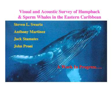 Visual and Acoustic Survey of Humpback & Sperm Whales in the Eastern Caribbean Steven L. Swartz Anthony Martinez Jack Stamates John Proni