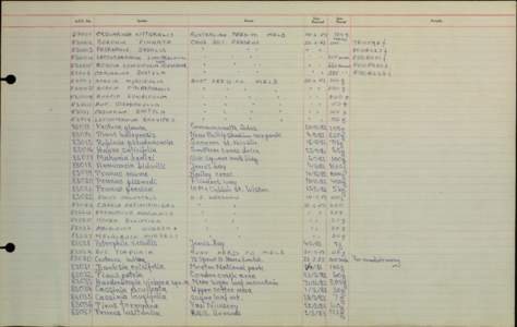 Yarralumla Nursery Ledger 3