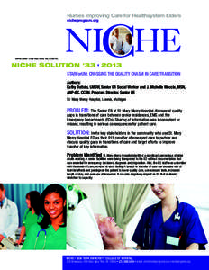 Nurses Improving Care for Healthsystem Elders nicheprogram.org Series Editor: Linda Bub, MSN, RN, GCNS-BC  NICHE SOLUTION #33 • 2013