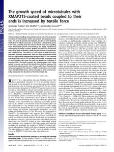 The growth speed of microtubules with XMAP215-coated beads coupled to their ends is increased by tensile force Anastasiya Trushkoa, Erik Schäfferb,1,2, and Jonathon Howarda,2,3 a Max Planck Institute of Molecular Cell B