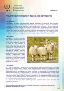 September[removed]Preventing Brucellosis in Bosnia and Herzegovina The challenge… The economy of Bosnia and Herzegovina depends significantly on agriculture, which provides employment for approximately 20% of the country