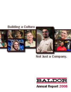 Building a Culture  Not Just a Company. Annual Report 2008