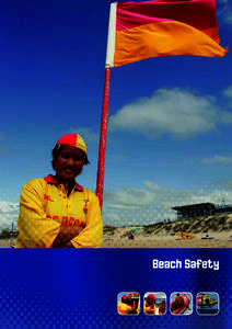 Beach Safety  1 INTRODUCTION