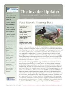 The Invader Updater  Highlights:  Muscovy Ducks and the Migratory Bird