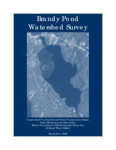 Water pollution / Environmental soil science / Hydrology / Aquatic ecology / Environmental science / Stormwater / Surface runoff / Songo River / Impervious surface / Water / Environment / Earth