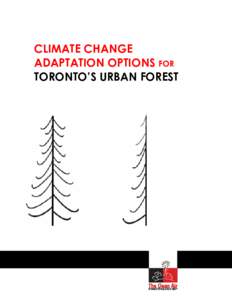 Microsoft Word - Climate Change Adaptation Options for Toronto's Urban Forest.doc