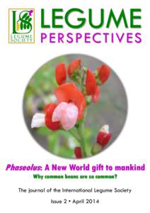 LEGUME PE RS P E C T IV E S Phaseolus: A New World gift to mankind Why common beans are so common? The journal of the International Legume Society