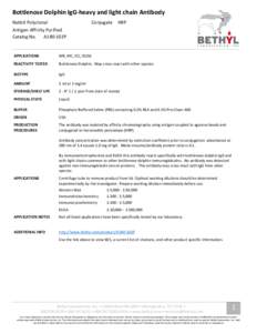 Bottlenose Dolphin IgG-heavy and light chain Antibody Rabbit Polyclonal Conjugate  HRP