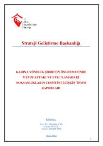 Strateji GeliĢtirme BaĢkanlığı  KADINA YÖNELĠK ġĠDDETĠN ÖNLENMESĠNDE MEVZUATTAKĠ VE UYGULAMADAKĠ NOKSANLIKLARIN TESPĠTĠNE ĠLĠġKĠN TBMM RAPORLARI