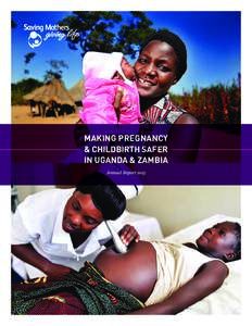 making pregnancy & CHILDBIRTH safer IN UGANDA & ZAMBIA Annual Report 2013  PROGRAMMATIC APPROACH