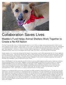 SHELTER ZONE by: BRIGID WASSON on JUNE 1, 2013  Collaboration Saves Lives Maddie’s Fund Helps Animal Shelters Work Together to Create a No-Kill Nation The San Francisco Bay Area is a highly desirable place to live so t