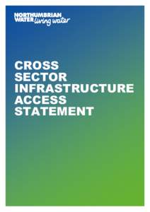 Microsoft Word - Cross Sector Access Statement final.docx