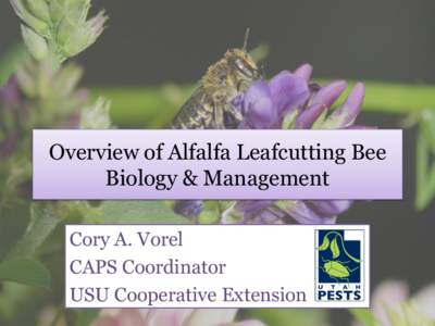 Overview of Alfalfa Leafcutting Bee Biology & Management Cory A. Vorel CAPS Coordinator USU Cooperative Extension