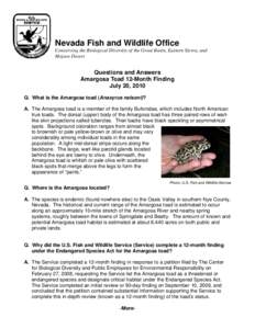 U. S. Fish & Wildlife Service Nevada Fish and Wildlife Office Conserving the Biological Diversity of the Great Basin, Eastern Sierra, and Mojave Desert  Questions and Answers