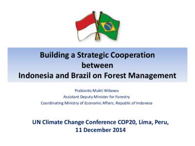 Building a Strategic Cooperation between Indonesia and Brazil on Forest Management Prabianto Mukti Wibowo Assistant Deputy Minister for Forestry Coordinating Ministry of Economic Affairs, Republic of Indonesa
