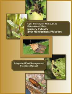 Light brown apple moth / Mating disruption / Biology / Animal and Plant Health Inspection Service / Land management / Plant nursery / California Department of Food and Agriculture / Light brown apple moth controversy / Tortricidae / Agricultural pest insects / Agriculture