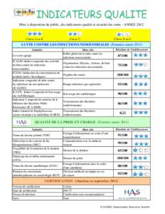 Mise à disposition du public, des indicateurs qualité et sécurité des soins - ANNEEClasse A ou B Classe D ou E