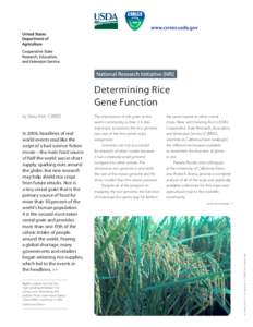 Determining Rice Gene Function In 2008, headlines of real world events read like the script of a bad science fiction movie – the main food source