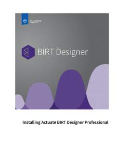 Installing Actuate BIRT Designer Professional