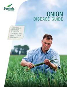 Onion  Dis e a s e g u ide A practical guide for seedsmen,