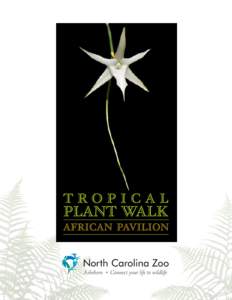 TROPICAL PLANT WALK at the AFRICAN PAVILION  NORTH CAROLINA ZOO ASHEBORO 1