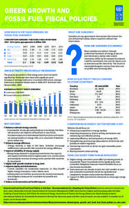 GREEN GROWTH AND FOSSIL FUEL FISCAL POLICIES HOW MUCH IS VIET NAM SPENDING ON FOSSIL FUEL SUBSIDIES?  WHAT ARE SUBSIDIES?