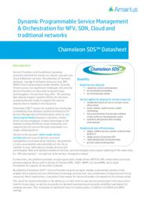 Dynamic Programmable Service Management & Orchestration for NFV, SDN, Cloud and traditional networks Chameleon SDS™ Datasheet Introduction Service Providers need to address a growing