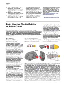 Brain Mapping: The (Un)Folding of Striate Cortex