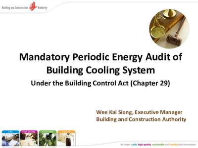 Mandatory Periodic Energy Audit of Building Cooling System Under the Building Control Act (Chapter 29) Wee Kai Siong, Executive Manager Building and Construction Authority