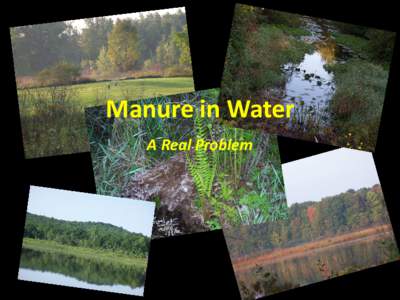 Manure in Water A Real Problem Each photograph in this presentation was taken by an ECCSCM member, with aerial assistance provided by Lighthawk/Sierra Club/SRAP.