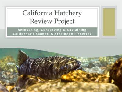 California Hatchery Review Project Recovering, Conserving & Sustaining C a l i f o r n i a ’s S a l m o n & S t e e l h e a d F i s h e r i e s  What is in the Final Report?