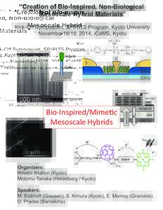 “Creation of Bio-Inspired, Non-Biological Mesoscale Hybrid Materials” Kick-Off Symposium, SPIRITS Program, Kyoto University November18/19, 2014, iCeMS, Kyoto  Bio-Inspired/Mime c