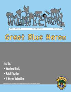 Volume 28/Issue 6 Great Blue Heron
