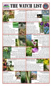Campanula punctata / Liatris cylindracea / Flora of the United States / Flora of Canada / Flora