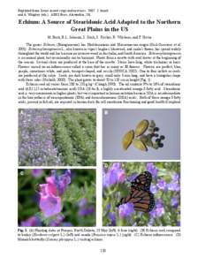 Reprinted from: Issues in new crops and new uses[removed]J. Janick and A. Whipkey (eds.). ASHS Press, Alexandria, VA. Echium: A Source of Stearidonic Acid Adapted to the Northern Great Plains in the US M. Berti, B.L. John