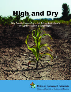 Drought Tolerant Corn Report